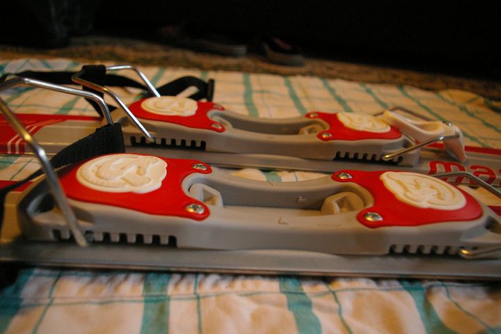 IMGP5224_1.JPG
