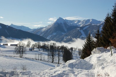 DSC_0398.JPG