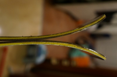 DSC01555.JPG